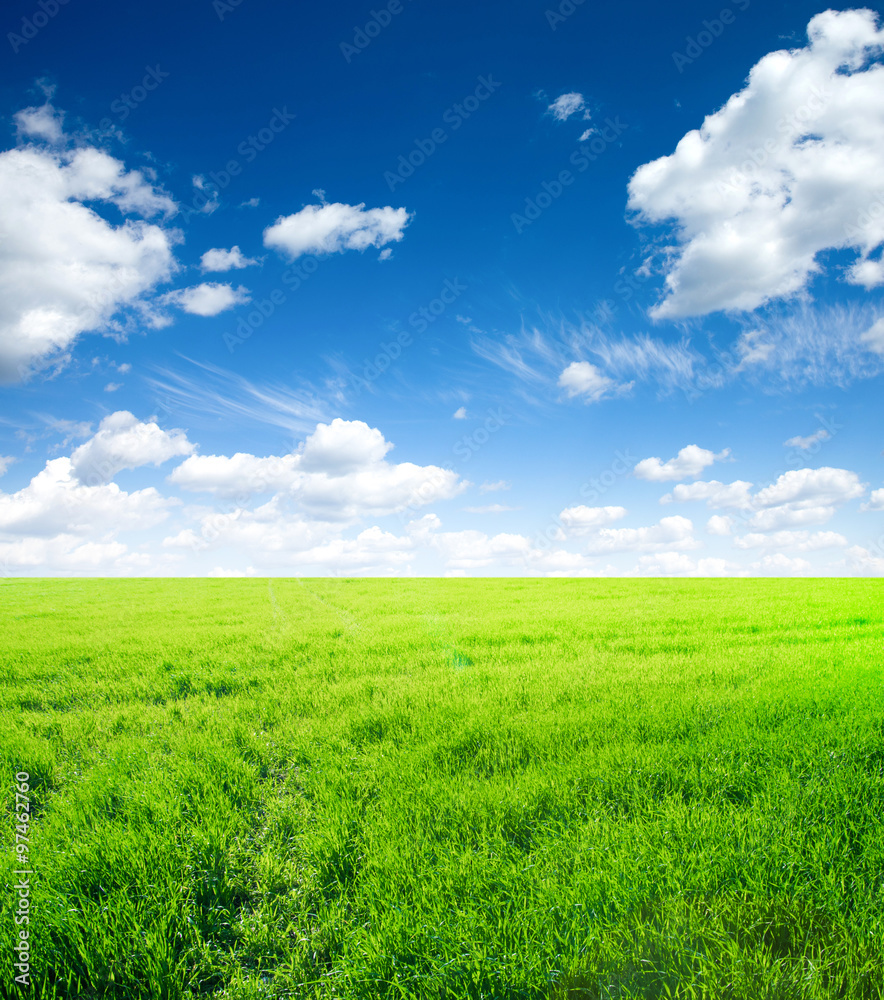 Background image of lush grass field under blue sky Background image of lush grass field under blue sky