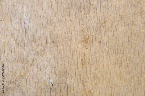 Texture of wood background closeup