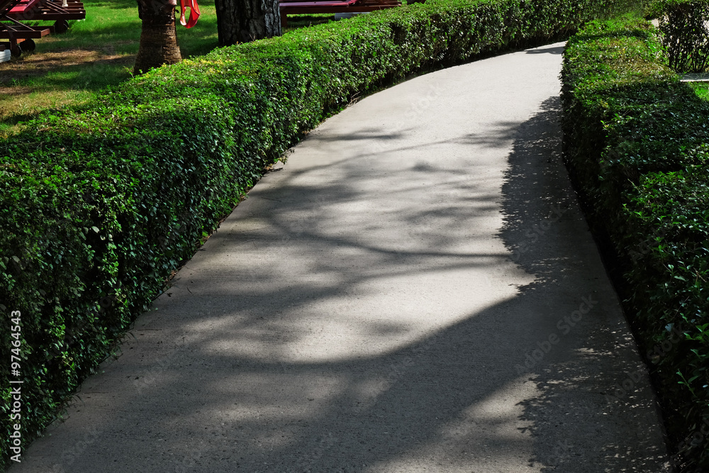 Path in the park with green grass background