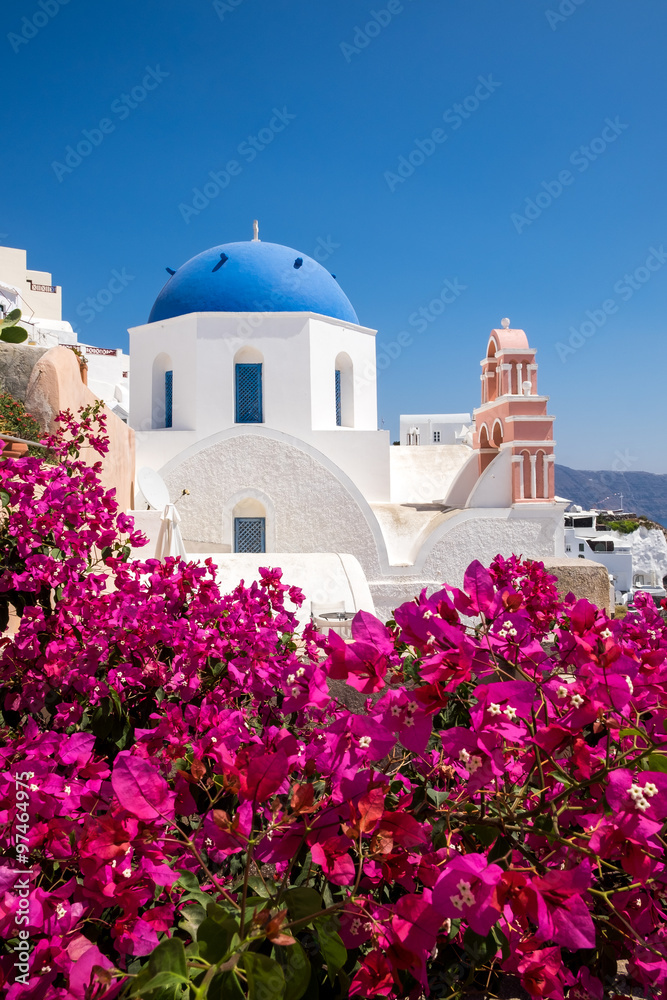 Obraz premium Scenic view of traditional cycladic houses with flowers in foreg