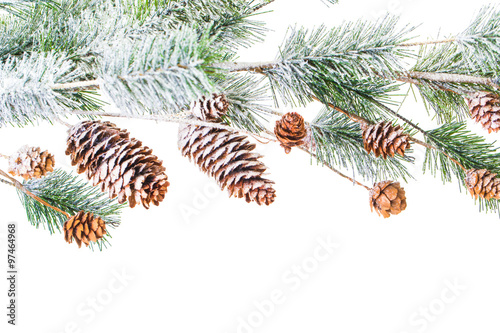 Christmas decoration on white background