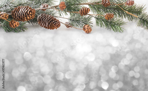 Christmas background with fir branches,pinecones and berries on