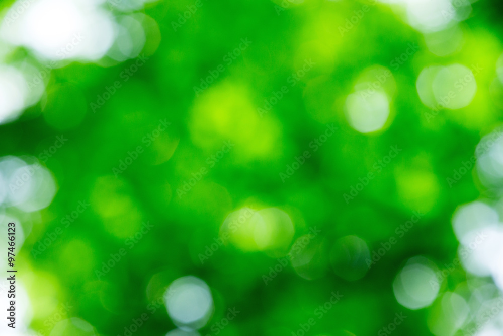 Obraz premium Green background