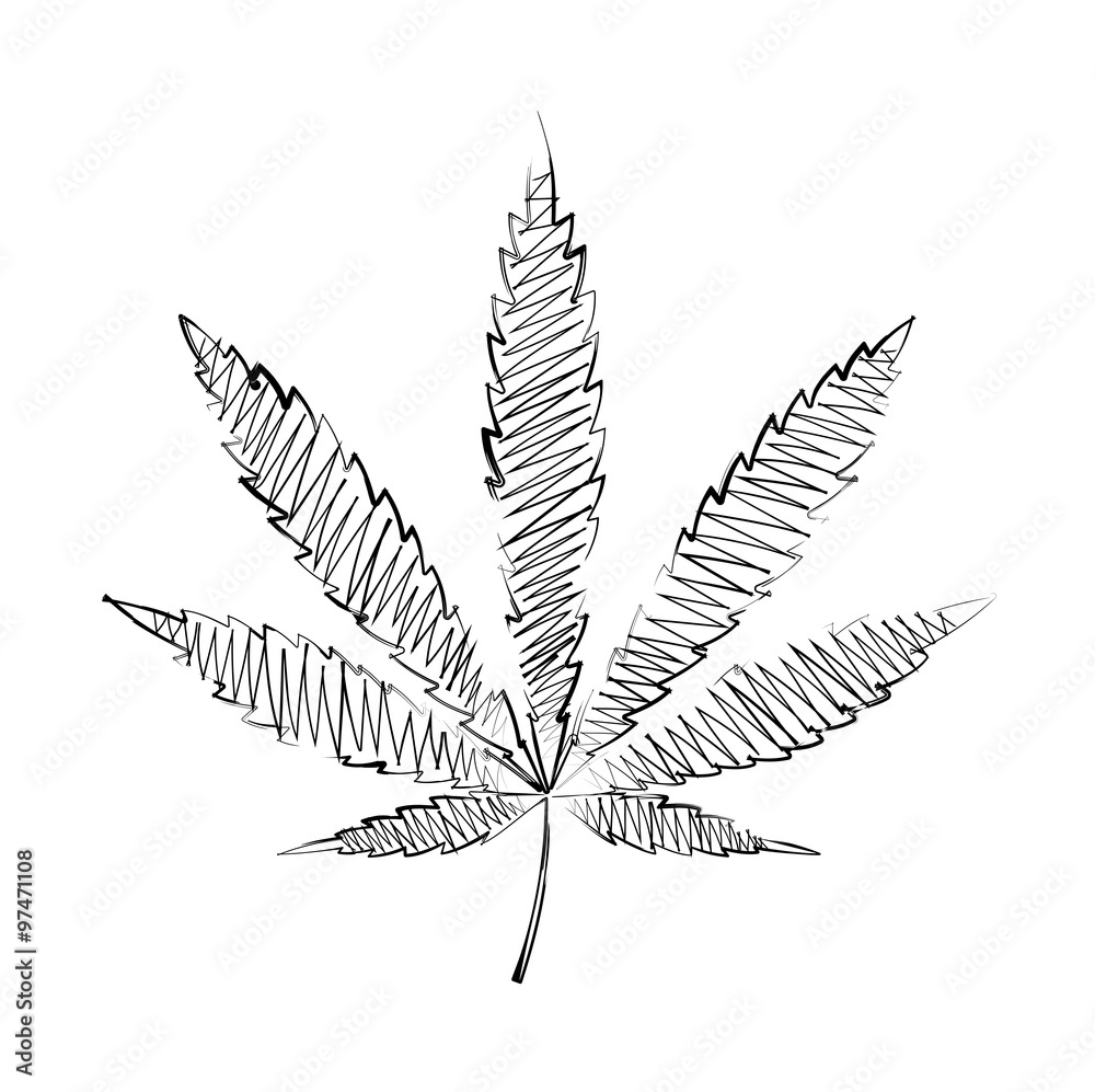 sheet of hemp drawing pencil sheet of hemp drawing pencil