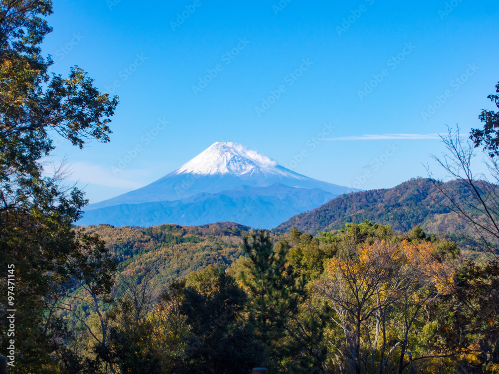 伊豆からの富士山 伊豆からの富士山