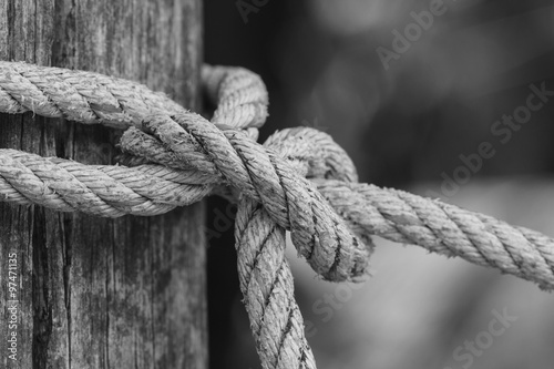  knot of thick rope tied around a wooden stake