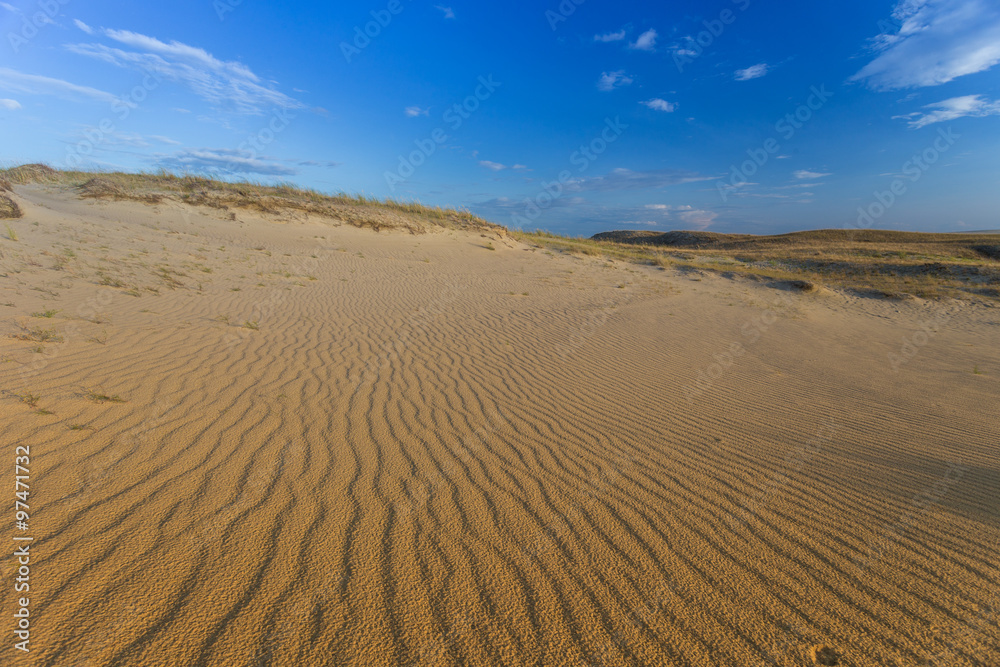 Sandy dunes during sunset. Curonian Spit, Lithuania.
Sandy dunes during sunset. Curonian Spit, Lithuania.
