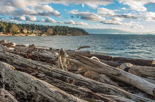 Pacific Northwest Shoreline © George Cole