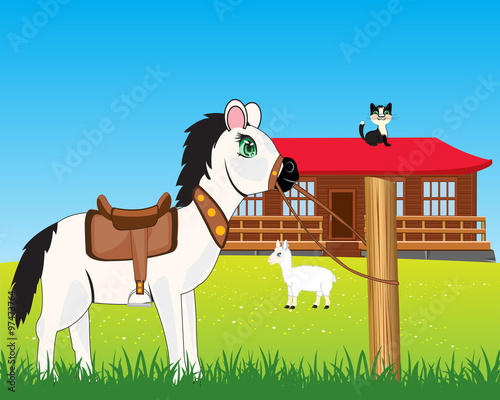 House on nature and animals