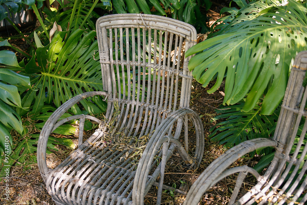 Old cane garden chairs