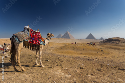 Egypt. Cairo - Giza. General view of pyramids