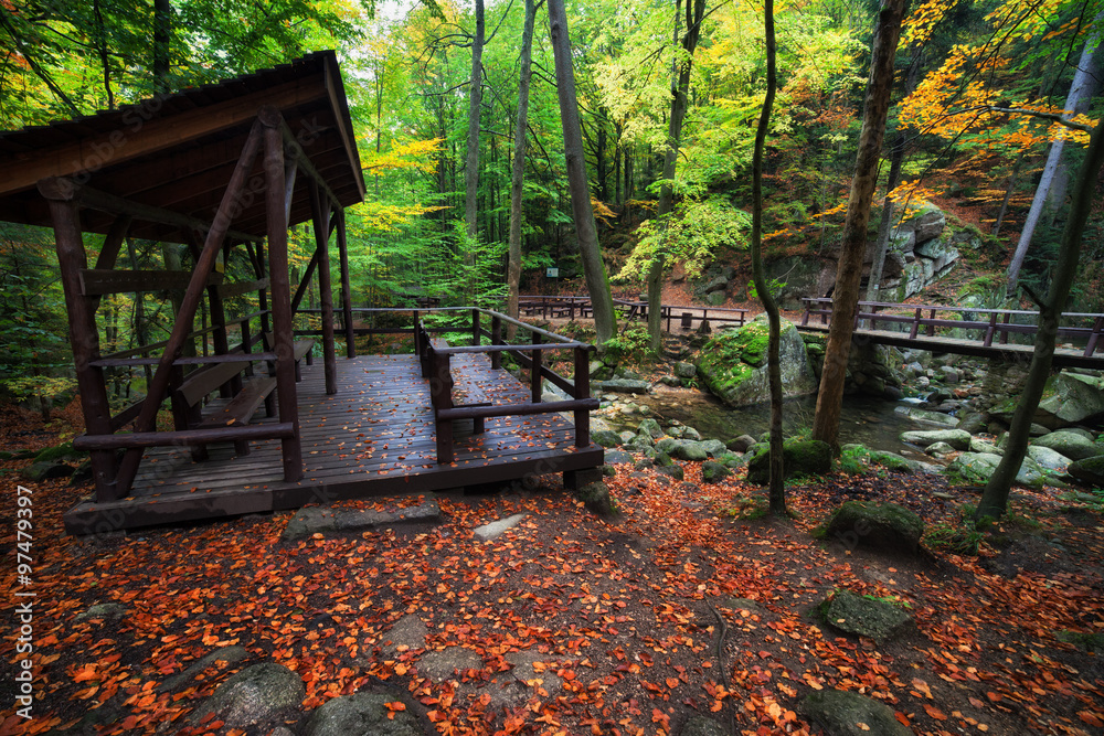 Obraz premium Shelter by the Stream in Autumn Forest