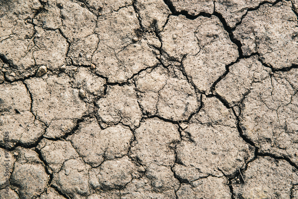 Dry land. Cracked ground background. Dry land. Cracked ground background.