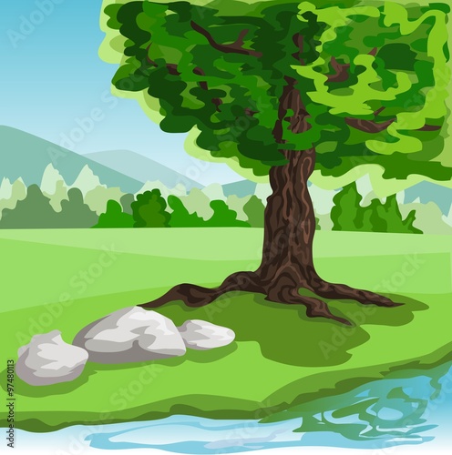 Summer landscape with tree and stones