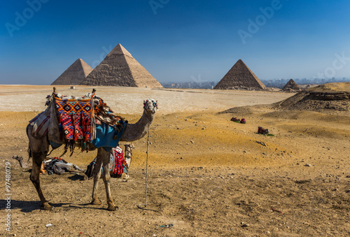 Egypt. Cairo - Giza. General view of pyramids from the Giza Plat