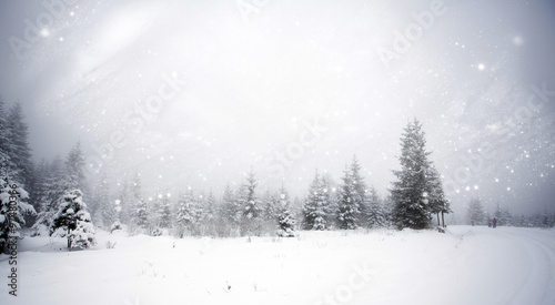 Winter landscape with snowy fir trees © erika8213