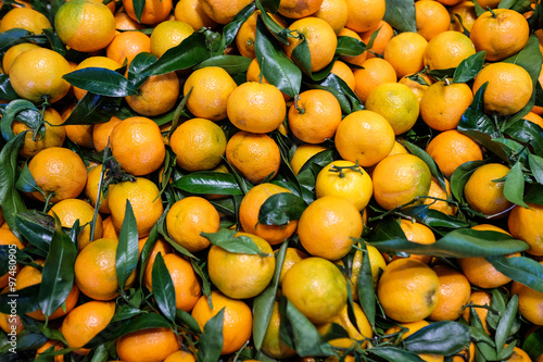 Sweet orange fruit