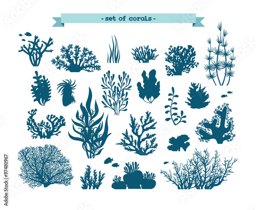 Tablou canvas Underwater set of corals and algae.