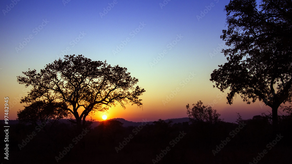 sunset landscape in Kruger National park sunset landscape in Kruger National park