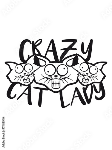 Crazy Cat Lady Crazy Funny Comic Cartoon Cats Team Party Group Of Friends Stupid Stock イラスト Adobe Stock