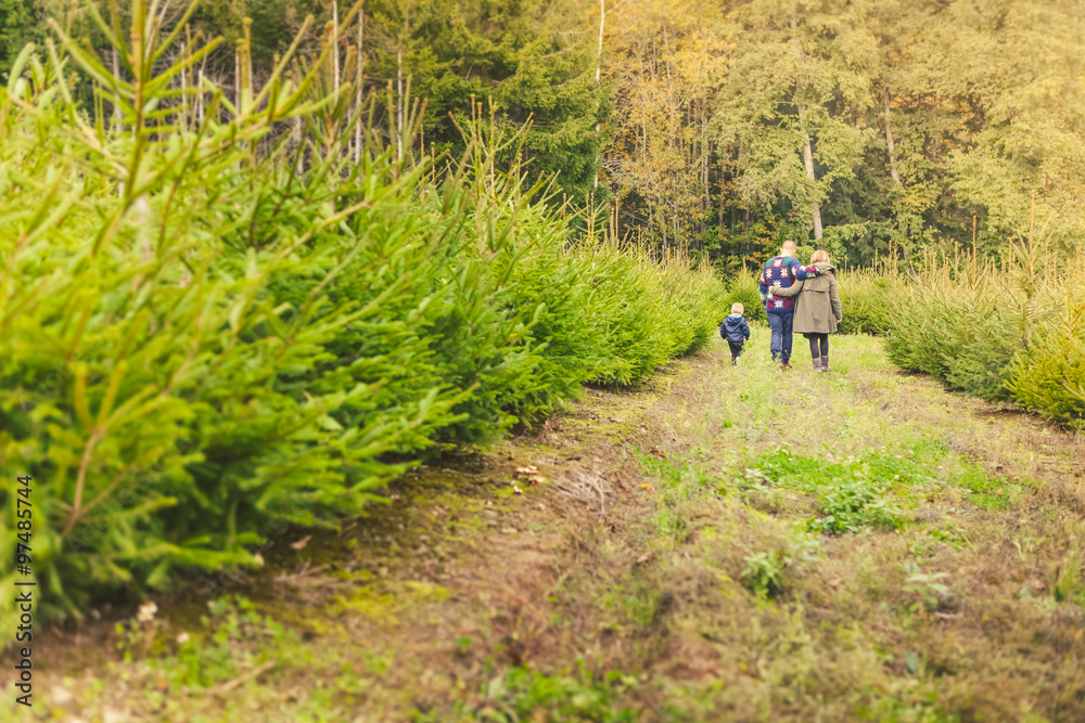 Happy Family with Child Choosing the Christmas Tree at the Farm Happy Family with Child Choosing the Christmas Tree at the Farm