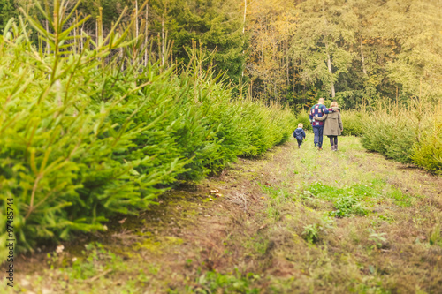 Happy Family with Child Choosing the Christmas Tree at the Farm