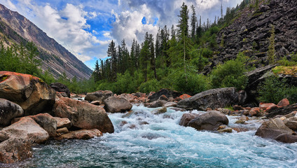 Papier peint photo Rivière Eau claire d'une rivière de montagne  © zhaubasar