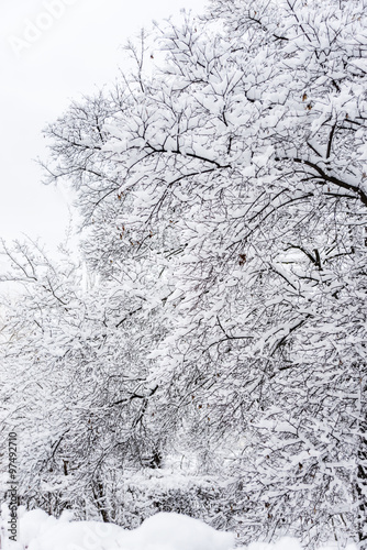 Wallpaper Mural Too much snow Torontodigital.ca