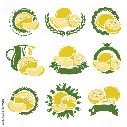 Melon labels and elements set. Vector