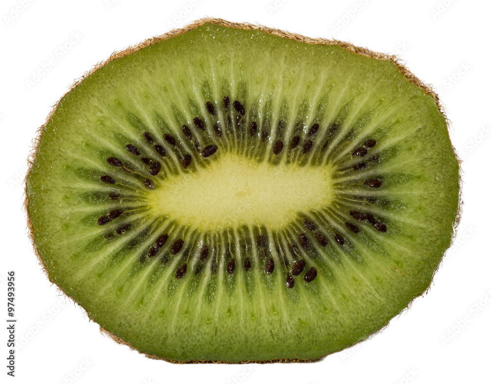 slice of kiwi isolated on white background slice of kiwi isolated on white background