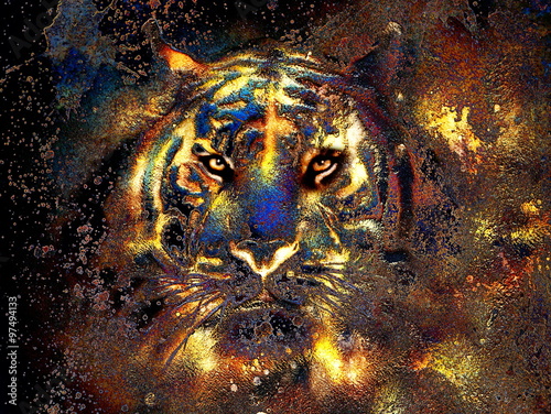  tiger collage on color abstract background, rust structure, wildlife animals, golden effect. computer collage.