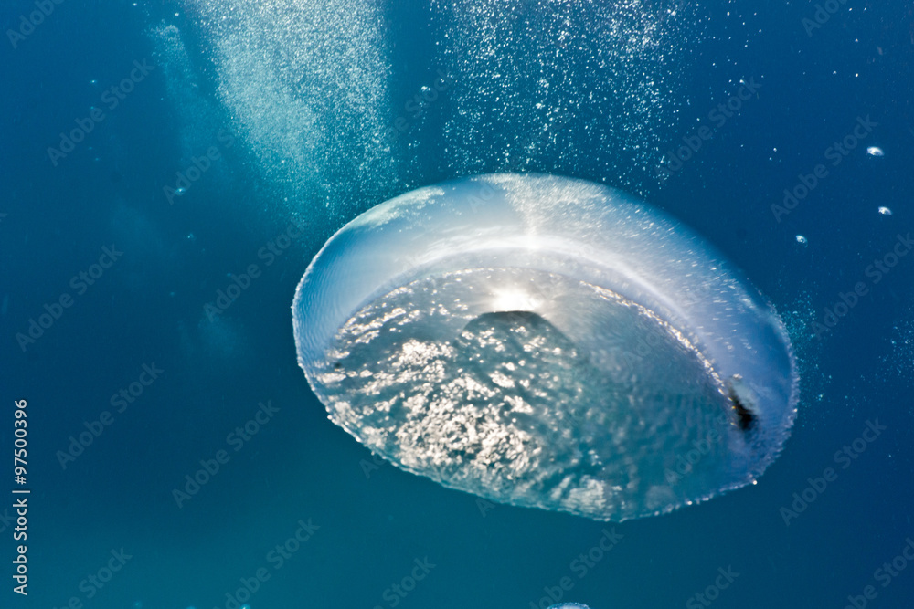 Bubbles underwater