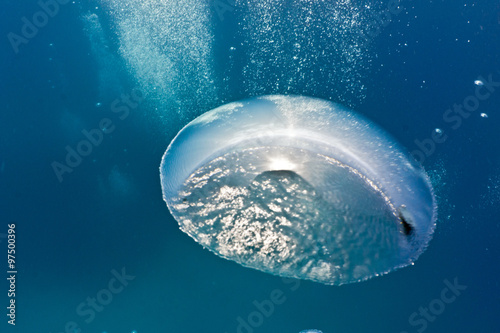 Bubbles underwater
