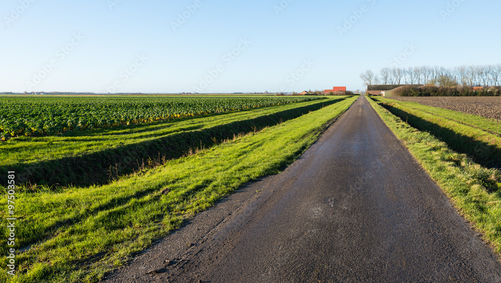Agricultural landscape on a sunny day in autumn