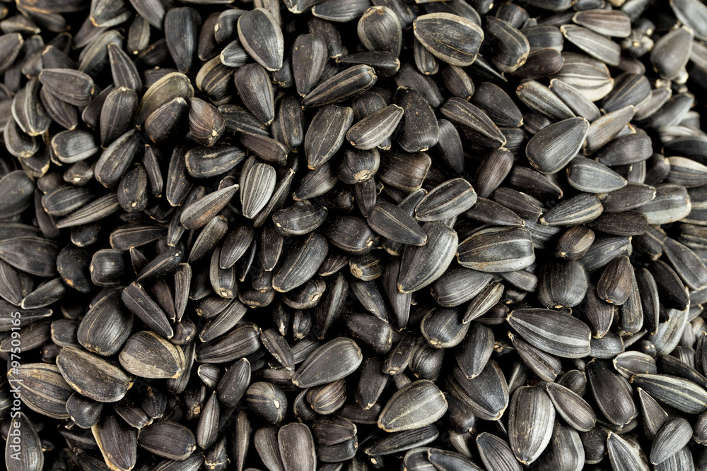sunflower seeds pile against white background sunflower seeds pile against white background