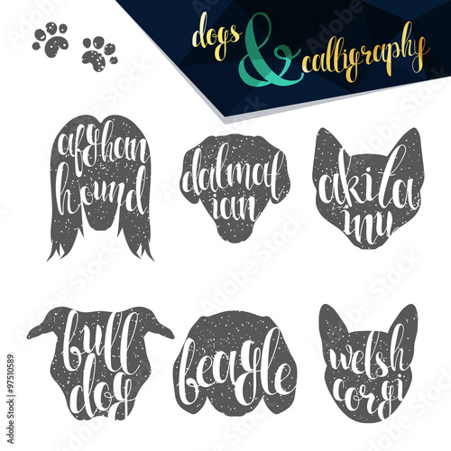 Set names of dog breeds in calligraphy handmade design