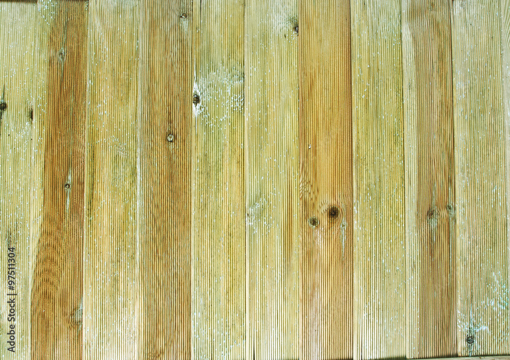 Faded wood panels with knots, and white and green algae decay. Faded wood panels with knots, and white and green algae decay.