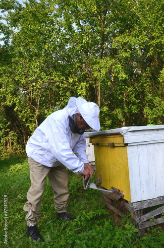 pszczelarz w pasiece odymia pszczoły przeciwko chorobom © Darios