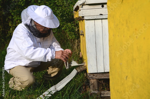 pszczelarz w pasiece odymia pszczoły przeciwko chorobom