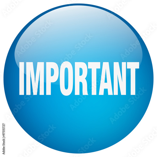 important blue round gel isolated push button