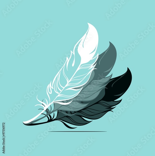 Feathers for letter