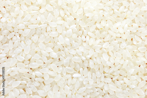 Raw Japan rice on the wood plan