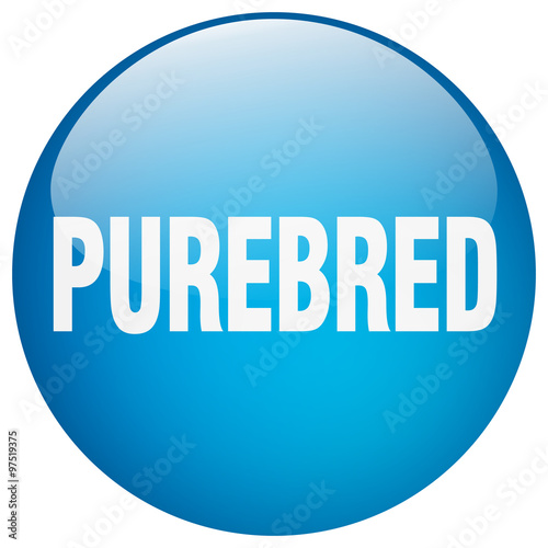 purebred blue round gel isolated push button