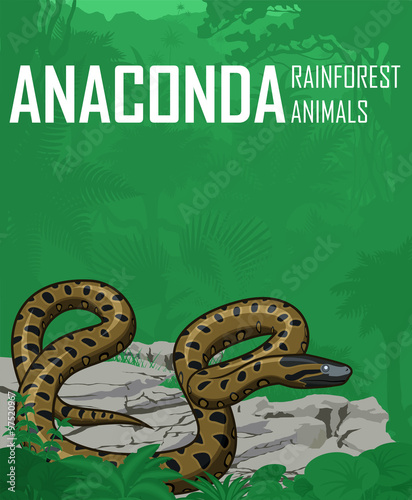 vector Green anaconda in jungle rainforest