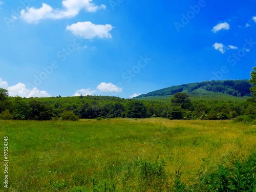 Meadow, forest and sky