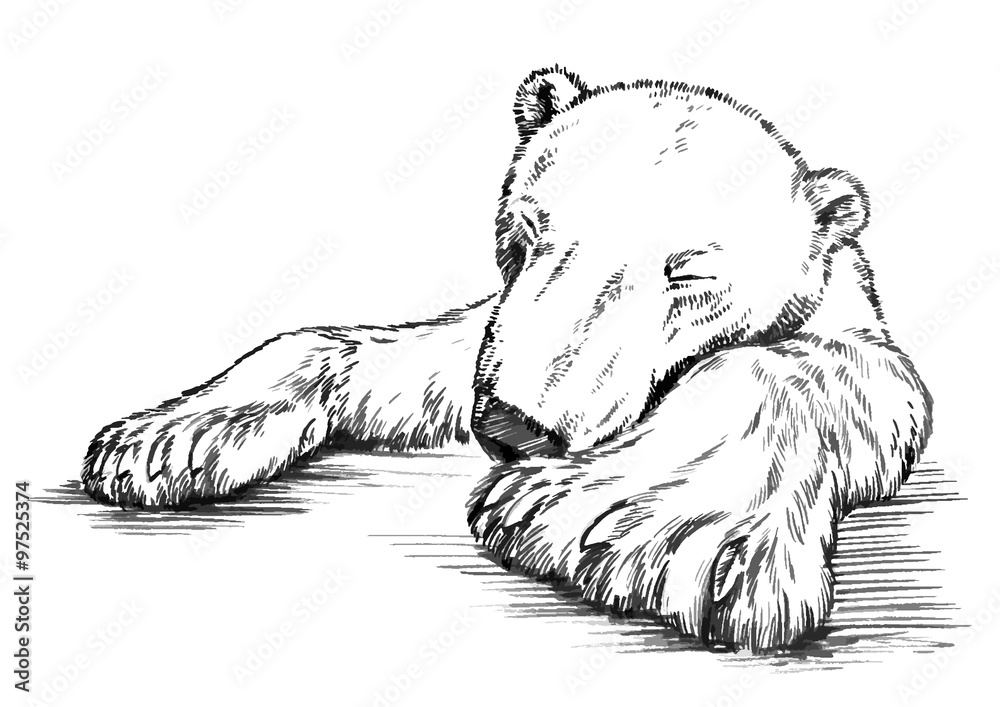 black and white engrave isolated vector bear black and white engrave isolated vector bear