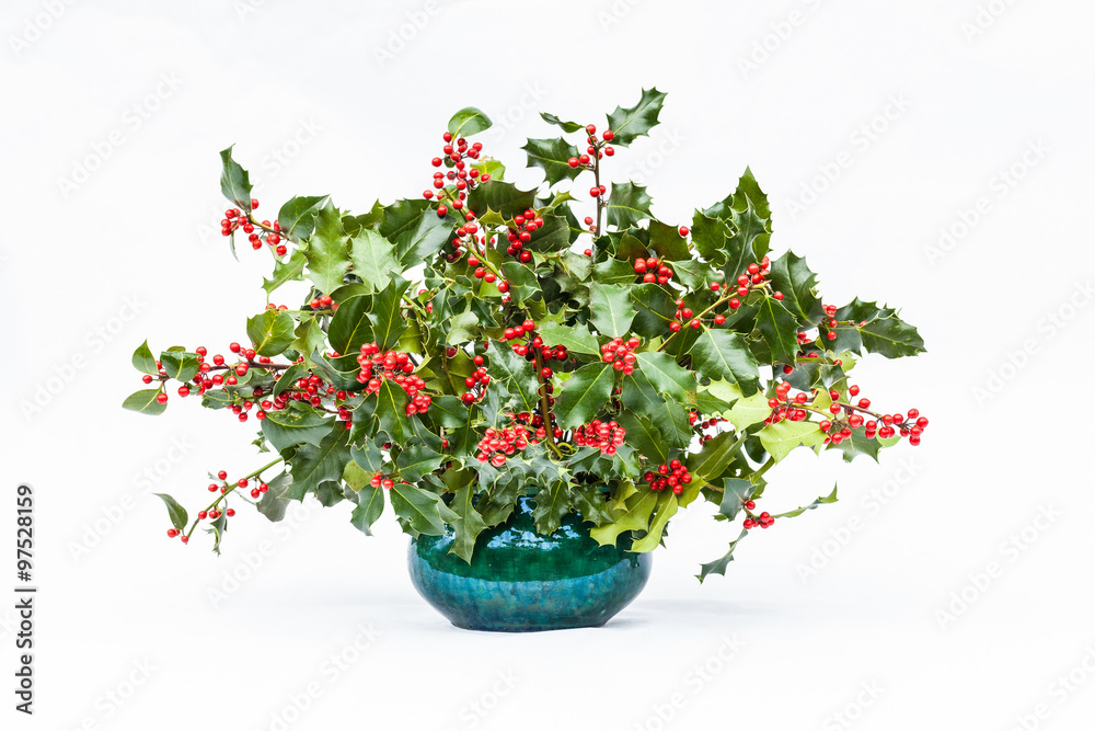 Vase of colorful natural fresh Christmas holly with bright red berries over a white background Vase of colorful natural fresh Christmas holly with bright red berries over a white background