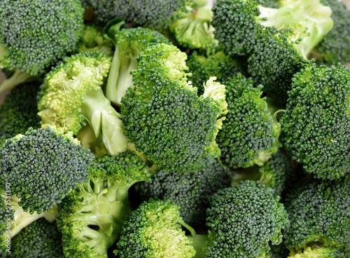 fresh broccoli on background.