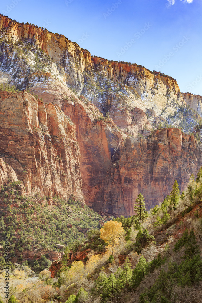 Naklejka premium Travelling in the famous Zion National Park
