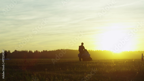 Wallpaper Mural Skydiver is Folding his Parachute after Successful Landing. Shot on RED Cinema Camera. Torontodigital.ca